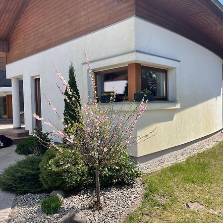 Apartament Przy Lesie Chojno-Blota Wielkie Εξωτερικό φωτογραφία