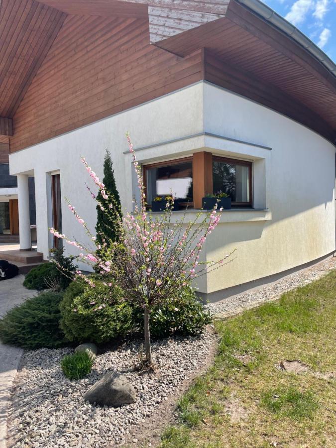 Apartament Przy Lesie Chojno-Blota Wielkie Εξωτερικό φωτογραφία