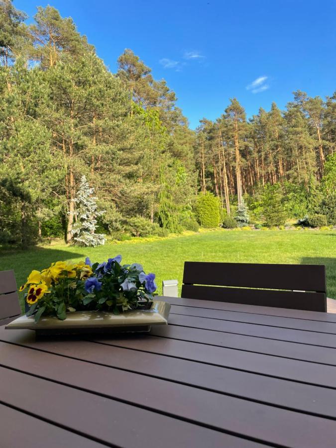 Apartament Przy Lesie Chojno-Blota Wielkie Εξωτερικό φωτογραφία