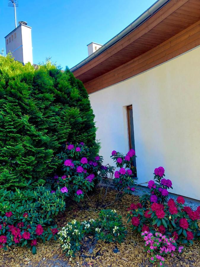 Apartament Przy Lesie Chojno-Blota Wielkie Εξωτερικό φωτογραφία